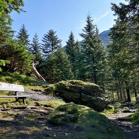 Ferienwohnung Innerhofer Hollersbach im Pinzgau Dış mekan fotoğraf
