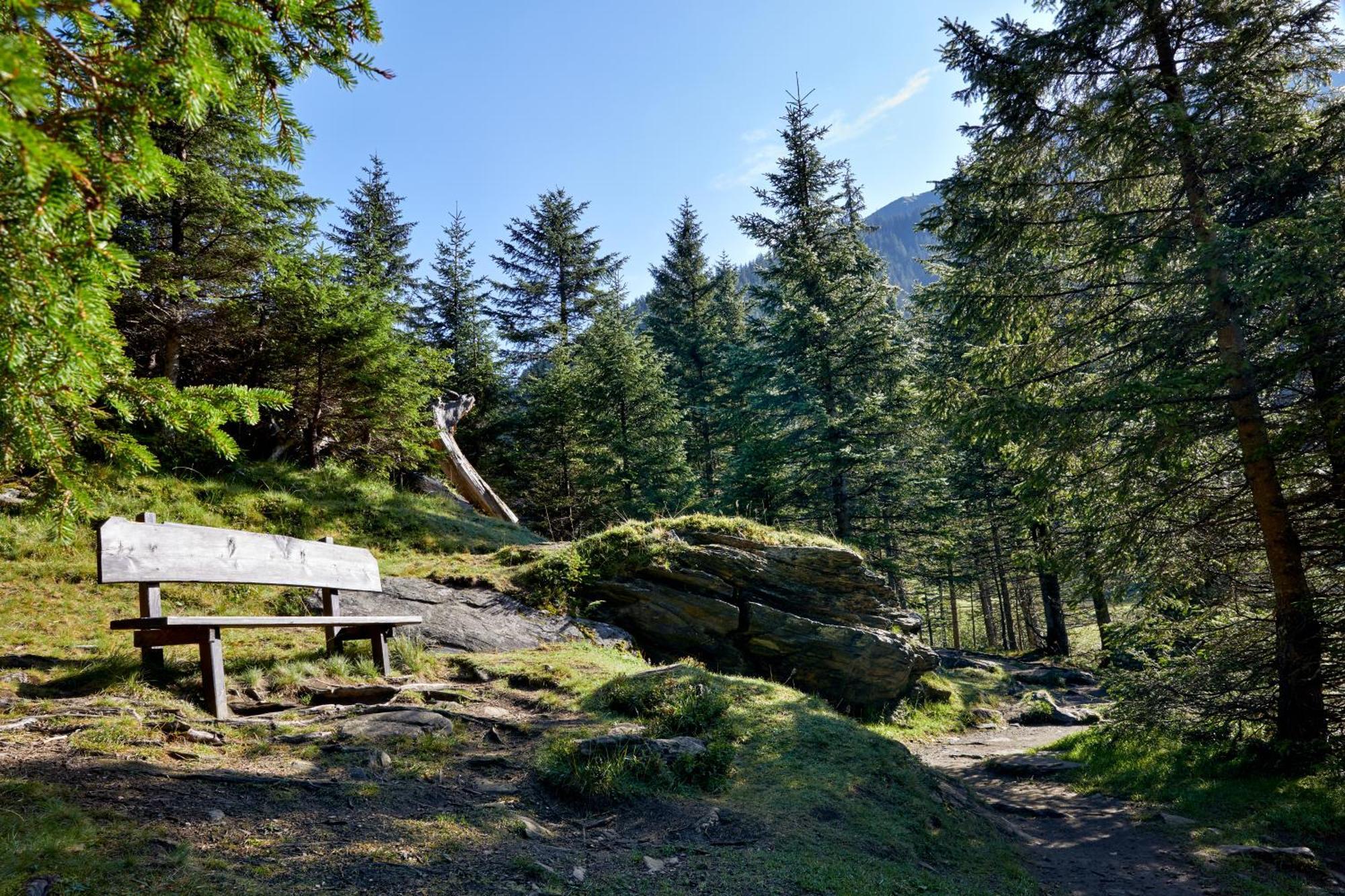 Ferienwohnung Innerhofer Hollersbach im Pinzgau Dış mekan fotoğraf
