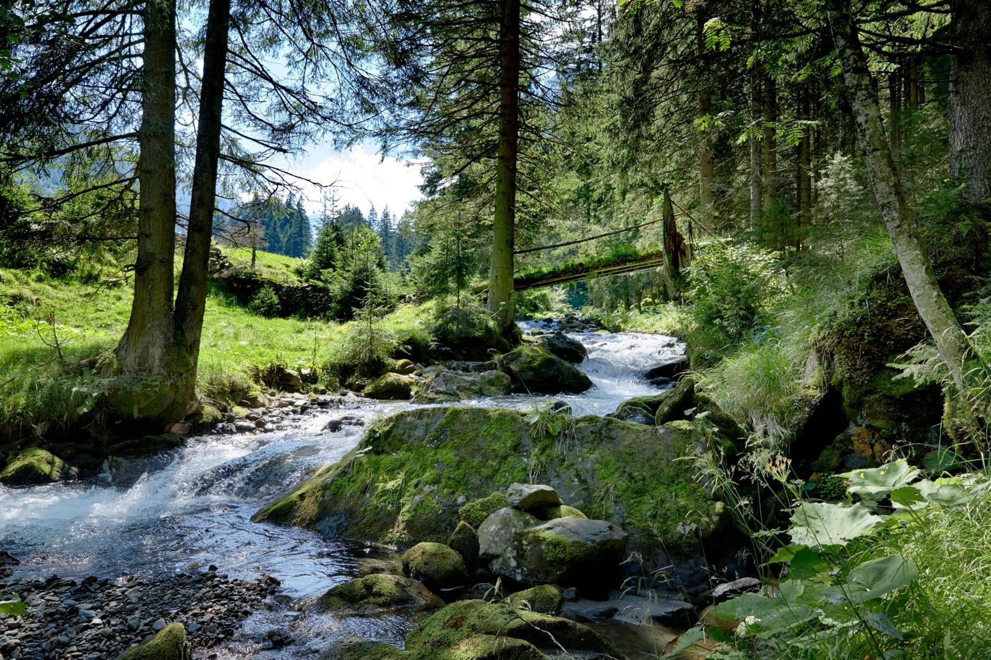 Ferienwohnung Innerhofer Hollersbach im Pinzgau Dış mekan fotoğraf